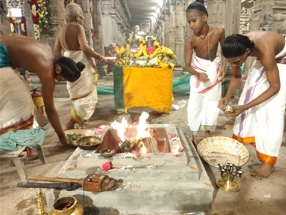 best nadi astrology