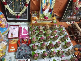 online nadi astrologer